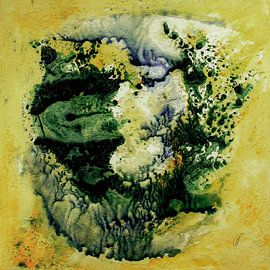 Aus der Vogelperspektive - Die Oase