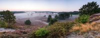 Ochtendgloren op de Brunssummerheide