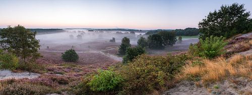Aube sur la lande de Brunssummer
