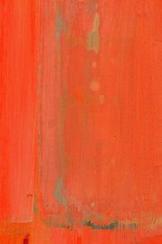 Warme orangefarbene Felder von Jared Hankins