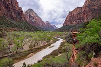 Zion National Park