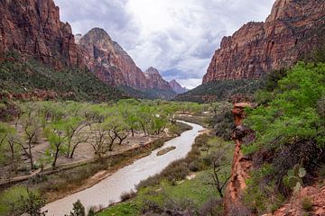 Zion National Park van Heleen Pennings