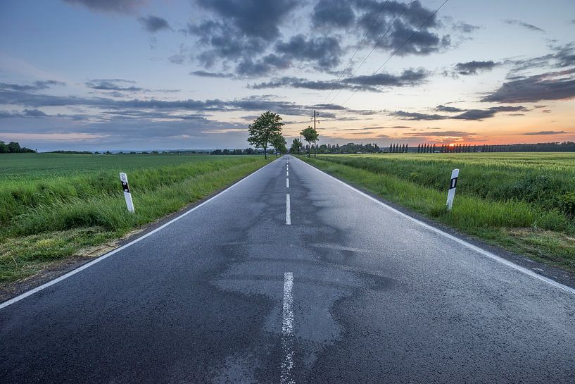 Path by Patrice von Collani