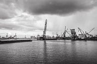 Hafen von Rotterdam von Ton de Koning Miniaturansicht