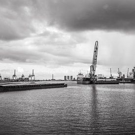 Hafen von Rotterdam von Ton de Koning