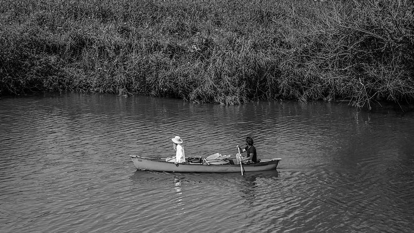 sailing through the Biesbosch by Freddie de Roeck