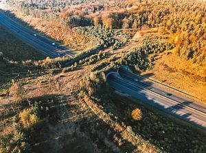 Ökodukt über eine Autobahn in der Veluwe