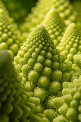 Groen: Een torentje van de Romanesco