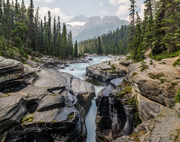 Canadese Rockies van Willem van den Berge