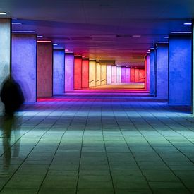 Walk of Colours by Rob van der Wal