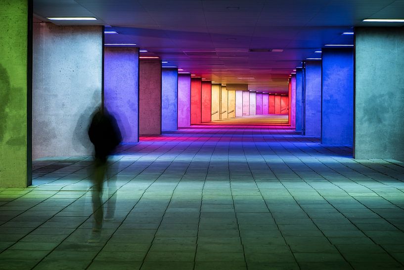 Walk of Colours by Rob van der Wal