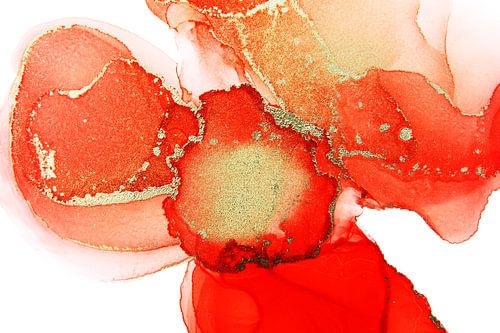 Lentebloem in oranje