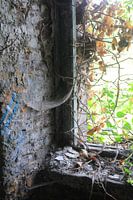 de kracht van de natuur