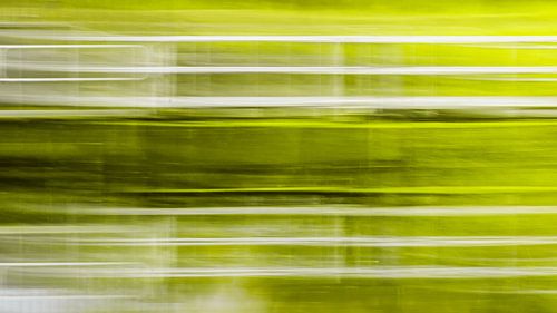 Groen en wit lijnenspel (ICM, abstract)
