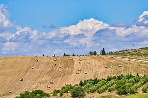 Italien Toskana Strohballen auf dem Lande