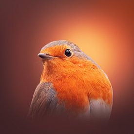 Roodborst portret van Edwin Alexander