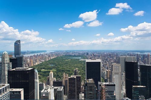 Uitzicht over Central Park, New York van Capture the Light