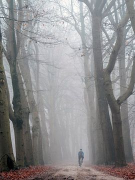 lone cyclist by Henri van Rheenen