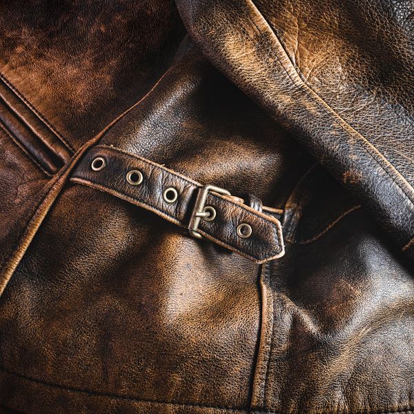 Atmospheric brown leather jacket by Hugo van Gool