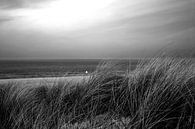 Gras in de duinen bij de zee van Frank Herrmann thumbnail