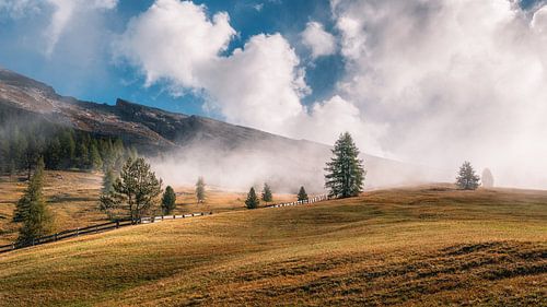Vroege mist op de Plätzwiese