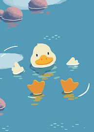 swimming ducks