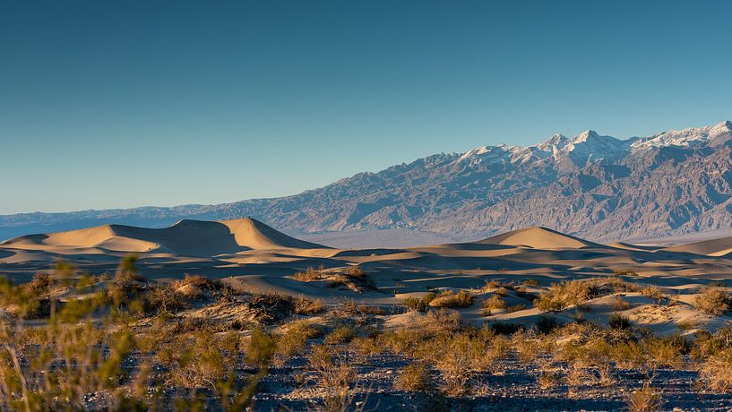 Death Valley - dunes by Keesnan Dogger Fotografie