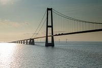 The Big Beltbridge