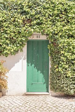Überwachsene Tür in Cascais, Portugal von Henrike Schenk