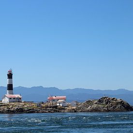 Lighthouse bij Victoria Canada van Elisabeth Eisbach