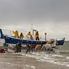 Pferderettungsboot Ameland von Meindert Marinus