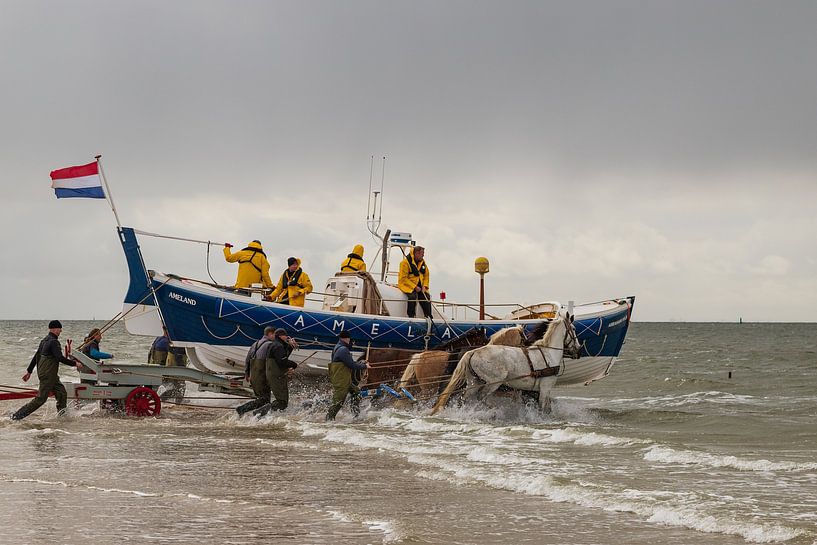 Horse rescue boat Ameland by Meindert Marinus