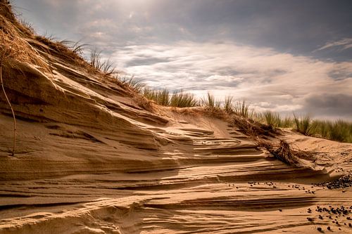 Layer dunes at the coast, Katwijk aan Zee, The Netherlands. 
