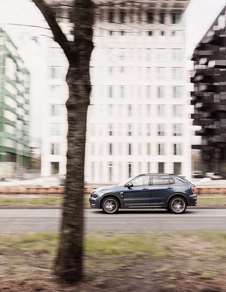 Car and tree in Amsterdam, Netherlands, Photography, Aaya Photographs by Aaya Mohamed