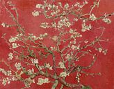 Mandelblüte von Vincent van Gogh (Rot) von Masters Revisited Miniaturansicht