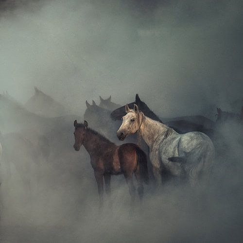 De verloren paarden, Huseyin Taşkın