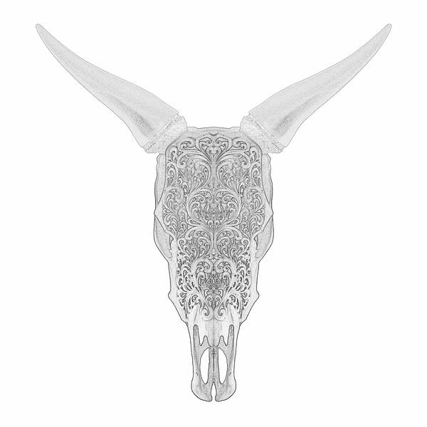 Bull Skull van Justin Sinner Photography ( Fotograaf op Texel)