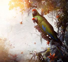 Ikaro by Jesper Krijgsman