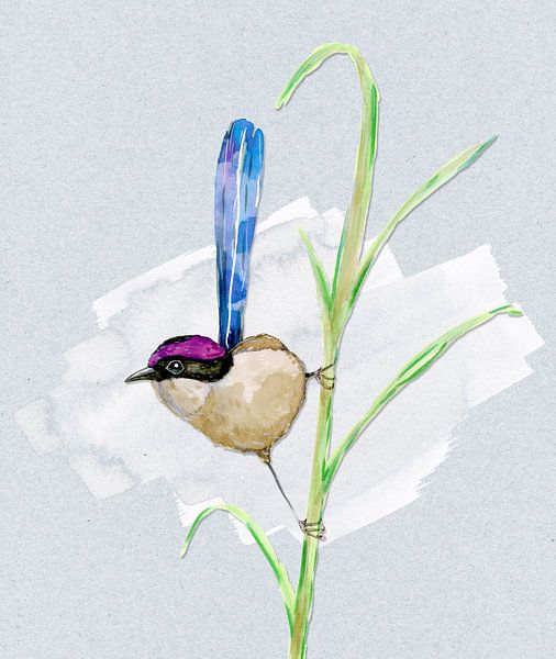 A watercolour drawing of a Purple-crowned fairywren by Bianca Wisseloo