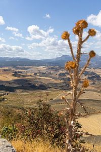 Landschaftsaufnahme im andalusischen Sommer. Karge Landschaft unter blauem Himmel, Andalusien, Spanien