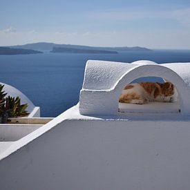 Slapende kat in Santorini van Chantal Mantel