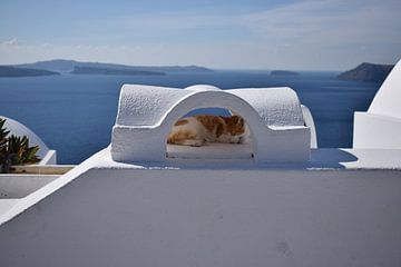 Slapende kat in Santorini van Chantal Mantel
