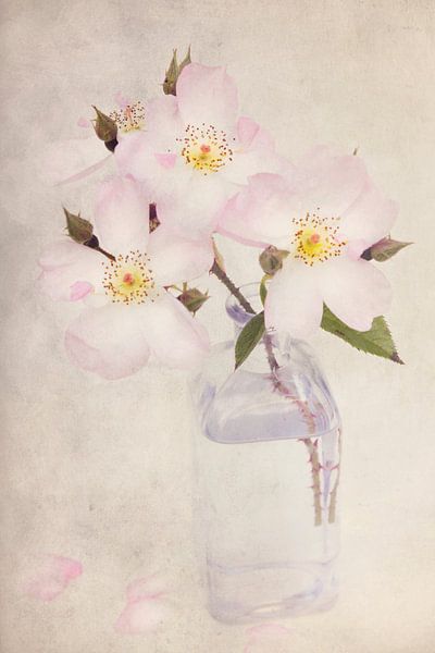 Vintage  pasteltinten roos in vaas. von Marga Goudsbloem