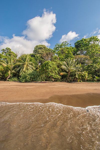 Paradiesischer Strand von Costa Rica von Bianca Kramer