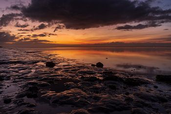 Guten Morgen gibt es wirklich!