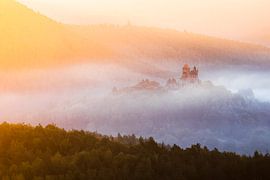 Burg Berwartstein im Nebel