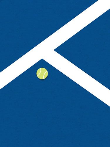 Hardcourt Tennis Court