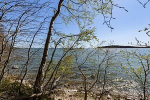 Naturstrand in der Goor, Lauterbach auf Rügen