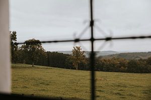 Blick auf die Ardennen von Trois-Ponts, Landal Village les Gottales