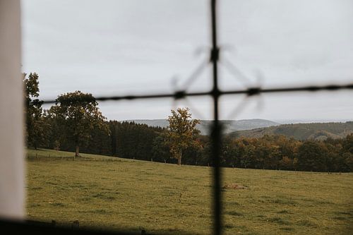View of the Ardennes from Trois-Ponts, Landal Village les Gottales